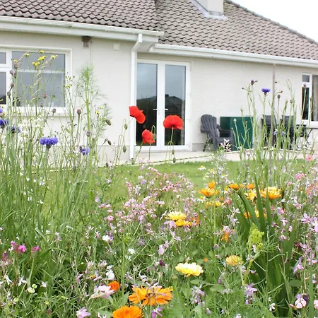 Family Home, 20 Mins From Youghal 度假居 *