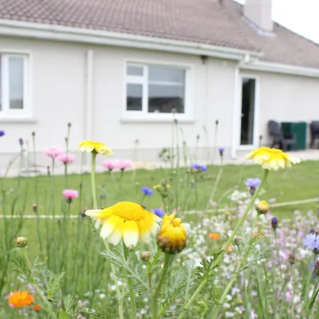 Family Home, 20 Mins From Youghal 度假居 *