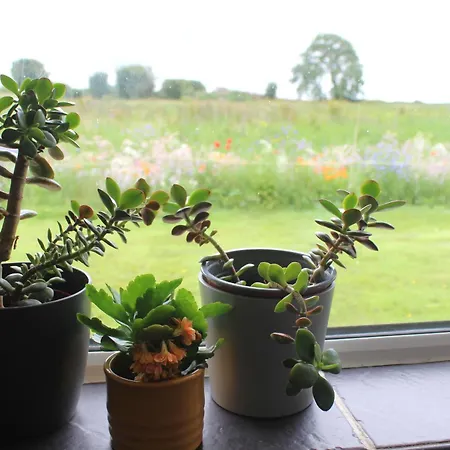 Family Home, 20 Mins From Youghal 度假居 Killeagh
